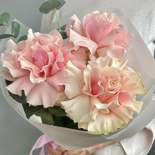 Rosas Francesas Rosa Mondial