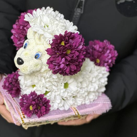 Букет собачка  из живых  цветов