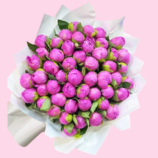 Peonies Fuchsia Bliss