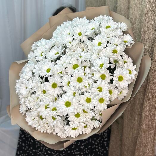 Огромное облако ромашек (большой букет из 15 кустовых хризантем)