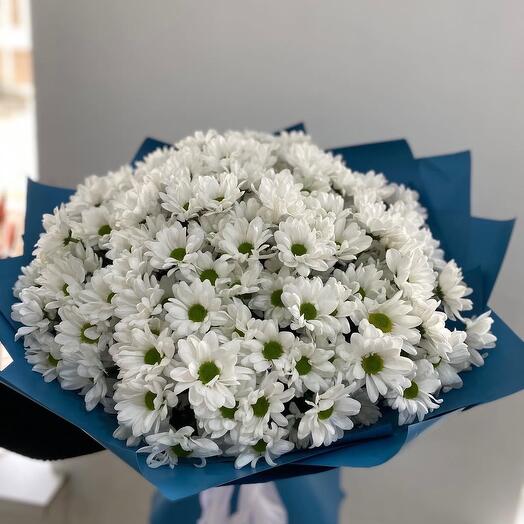 Chrysanthemums