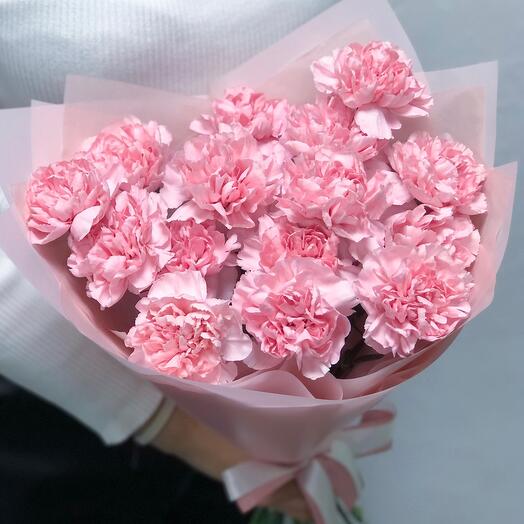 Диантусы 15🌸