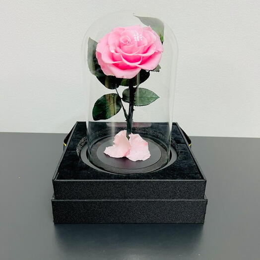 ETERNAL SINGLE PINK ROSE