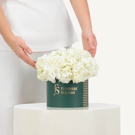 White Hydrangea Box Small