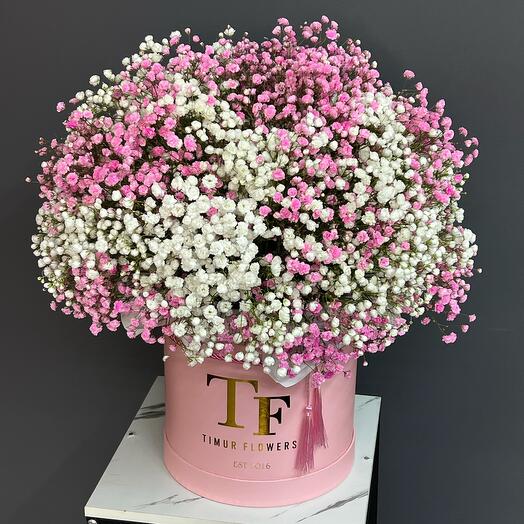 Композиция «крылья мотылька» Гипсофила