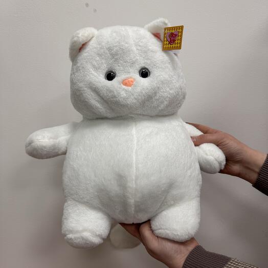Котик белый большой