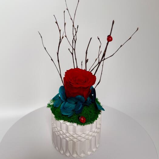 🌹 Композиция с розой стабилизированной "Enchanted Rose"