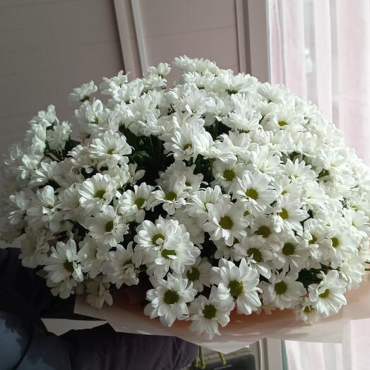 Гигант из ромашек