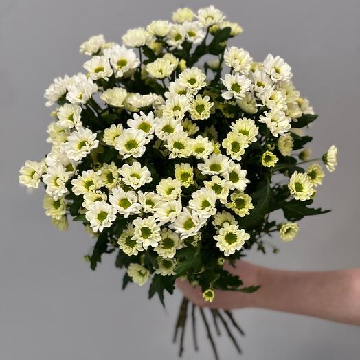 Букет из 9 кустовых ромашек