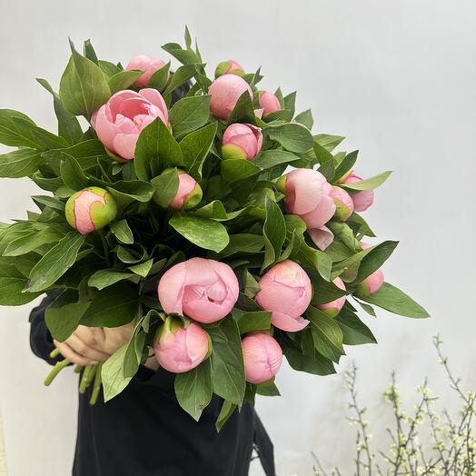 15 peonies