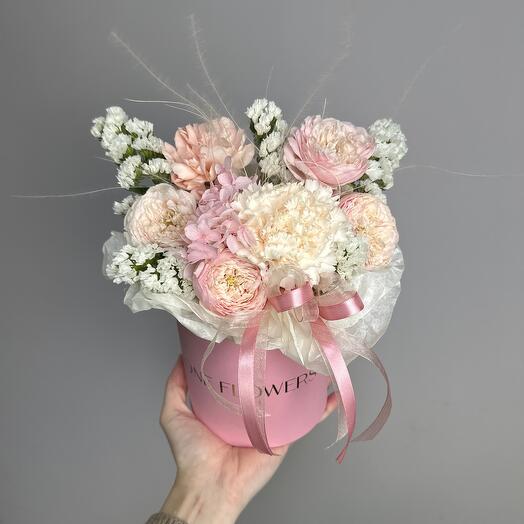 Dianthus, rosa arbustiva, estatica, Hortensia en Caja