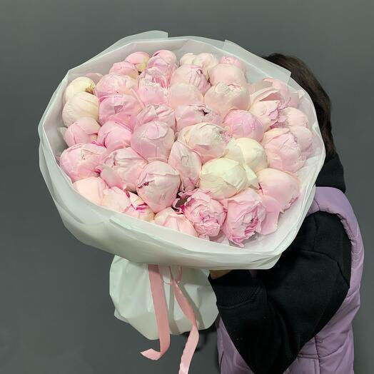 Пионы розовые 39 шт