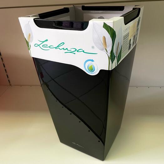 Planter Lechusa Kubiko-22 black lacquer set