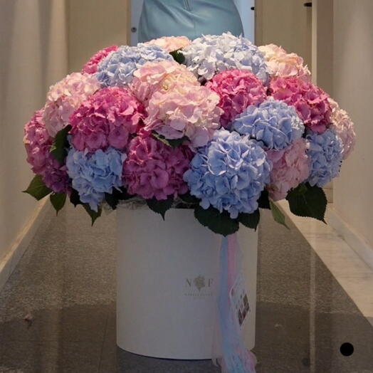 Caja con hortensias