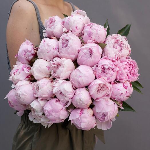 Монобукет из пионов 🌸🌸🌸