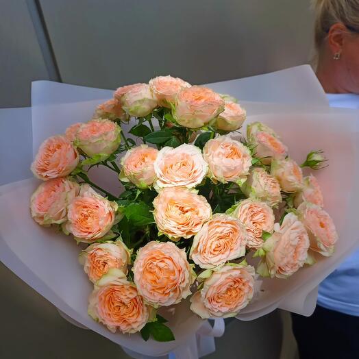 Роза кустовая Холли