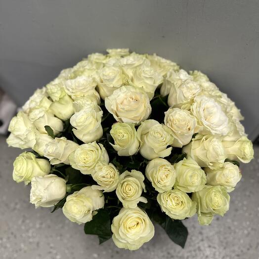 51 роза мондиаль