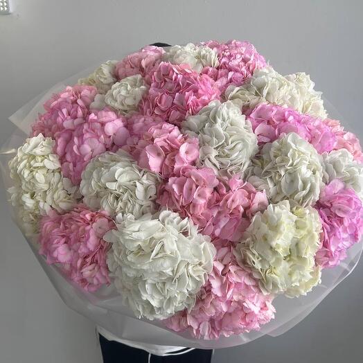 Гортензия😍