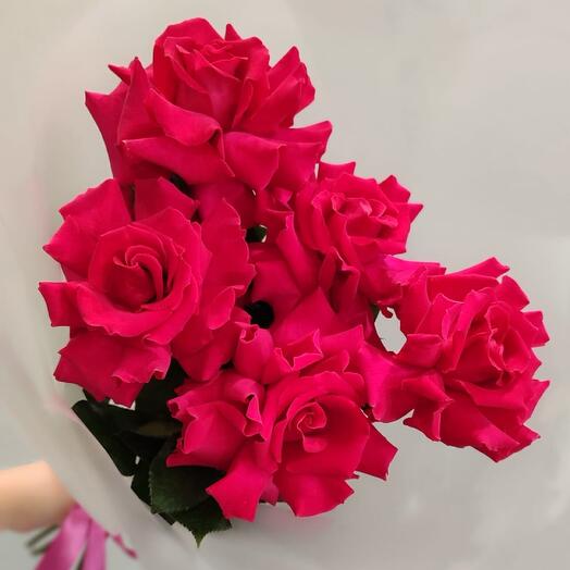 Букет из Французских Роз Фуксия (5шт)