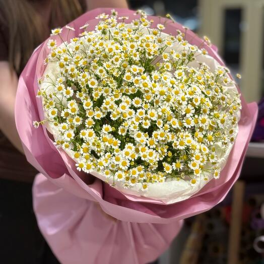 Летнее очарование🌸