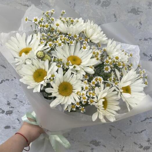Ромашки одноголовые и кустовые