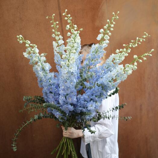 Голубой дельфиниум - Большой букет голубого дельфиниума