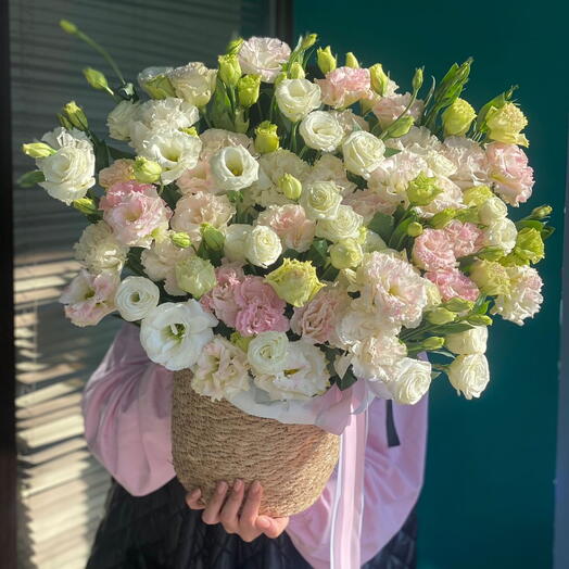 Лизиантусы в кашпо