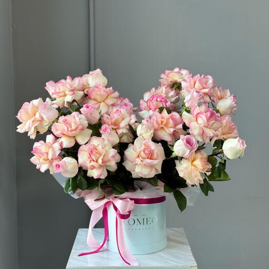 Wow коробочка🥰