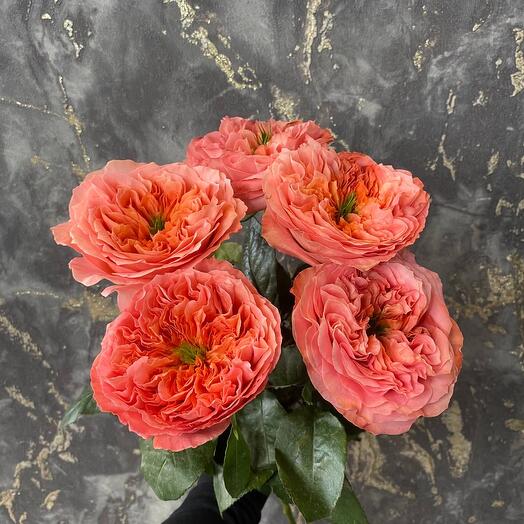 5 роз под ленту