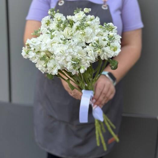 BOUQUET 019. Белая кустовая маттиола под ленту(5)