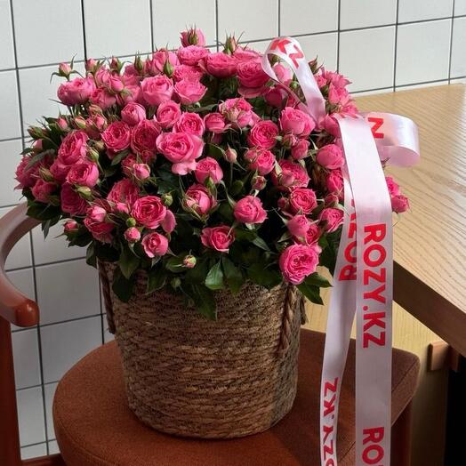 Корзина из роз Romeo размер L