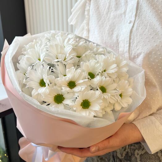 Букет моно из 5 ромашковой хризантемы