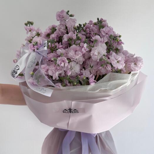 Ароматная Маттиола