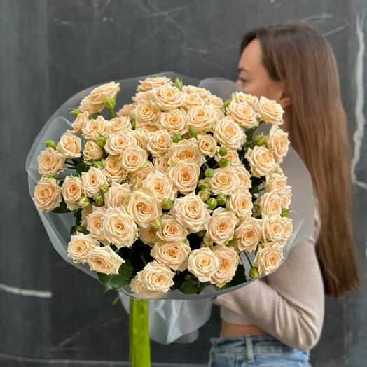 Роза кустовая «Таня»