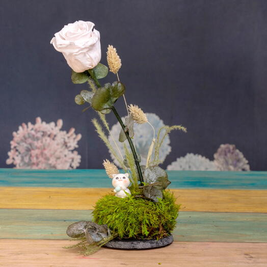 Mini paisaje flor eterna con gatito