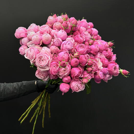 Кустовые розы Silva Pink