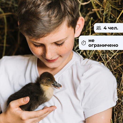 Планета животных. Посещение зоопарка