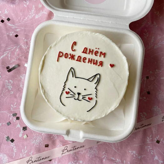 Бенто Котик
