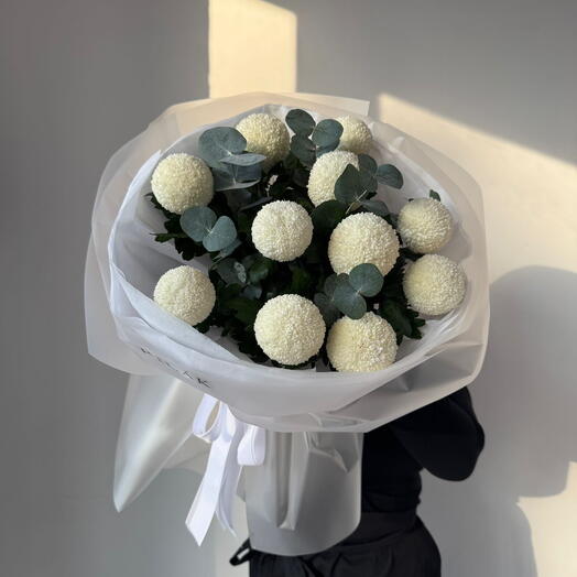 Mono Momoko White 11 Euca