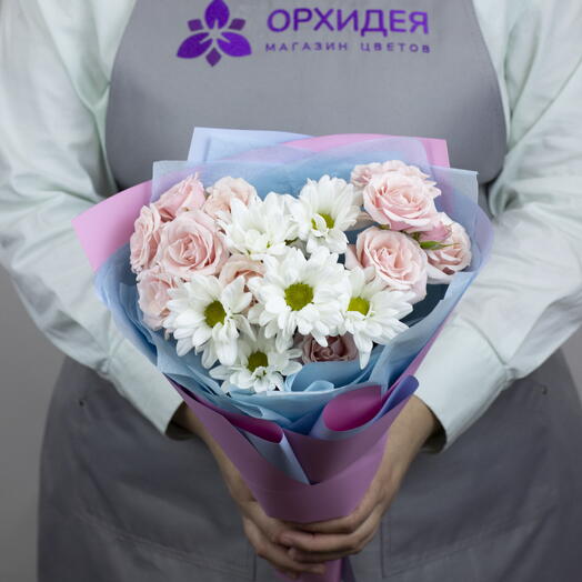 Сиеста Вега