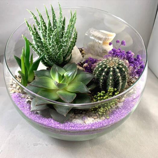 Флорариум Романтика