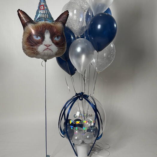 Набор шаров «Party Cat»