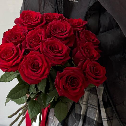 Бордовые розы Exsplorer  🌹