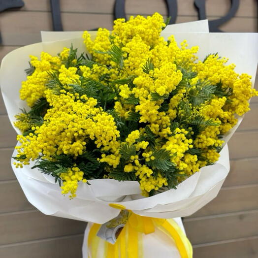 Мимоза 15 штук