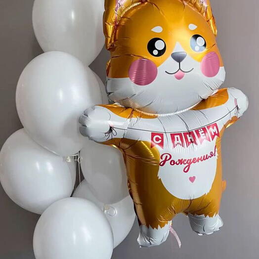 Сет Шаров Корги