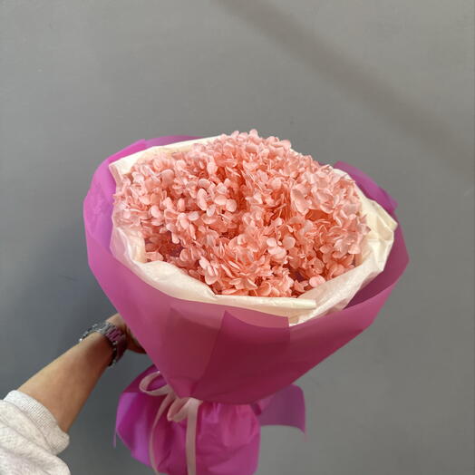 Гортензия стабилизированная барби 💓💘