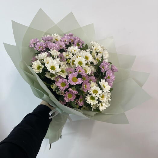 9 Сантини микс