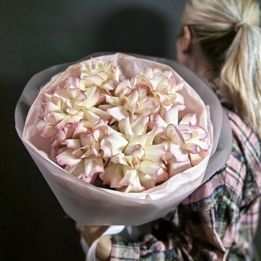 Роза джумилия 🌸