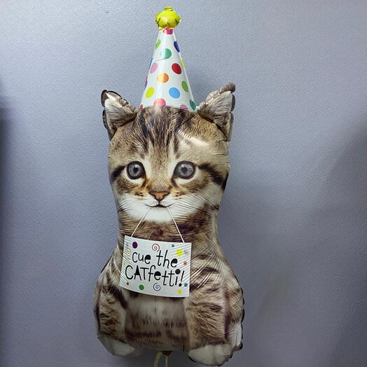 Шар котик