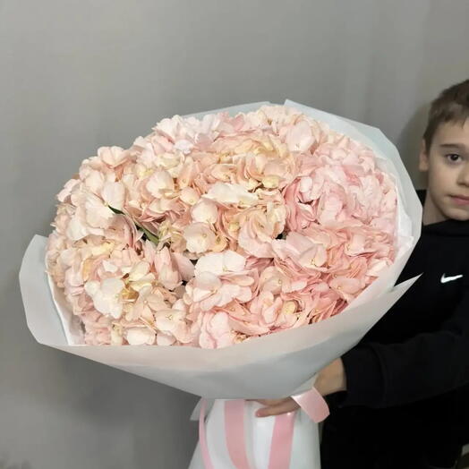Букет из 7 гортензий